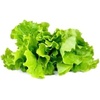 image:imageClick amp Grow Green Lettuce Refill Pods 3Pack for Smart Garden  Grow fresh crisp lettuce indoors yearround Compatible with all Click amp Grow Smart Garden models Zero effort