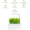 image:imageClick amp Grow Indoor Herb Garden Kit with Grow Light  Smart Garden for Home Kitchen Windowsill  Easier Than Hydroponics Growing System  Vegetable Gardening Starter 3 Basil Pods Included Grey  Easier than a hydroponic growing system Patented Smart Soil Includes 3 basil pods Choose from 50 plant varietiesWhite