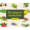 image:imageClick amp Grow Indoor Herb Garden Kit with Grow Light  Smart Garden for Home Kitchen Windowsill  Easier Than Hydroponics Growing System  Vegetable Gardening Starter 3 Basil Pods Included Grey  Easier than a hydroponic growing system Patented Smart Soil Includes 3 basil pods Choose from 50 plant varietiesSage green