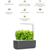 image:imageClick amp Grow Indoor Herb Garden Kit with Grow Light  Smart Garden for Home Kitchen Windowsill  Easier Than Hydroponics Growing System  Vegetable Gardening Starter 3 Basil Pods Included Grey  Easier than a hydroponic growing system Patented Smart Soil Includes 3 basil pods Choose from 50 plant varietiesGray