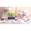 image:imageClick amp Grow Indoor Herb Garden Kit with Grow Light  Smart Garden for Home Kitchen Windowsill  Easier Than Hydroponics Growing System  Vegetable Gardening Starter 3 Basil Pods Included Grey  Easier than a hydroponic growing system Patented Smart Soil Includes 3 basil pods Choose from 50 plant varietiesGray
