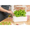 image:imageClick amp Grow Indoor Herb Garden Kit with Grow Light  Smart Garden for Home Kitchen Windowsill  Easier Than Hydroponics Growing System  Vegetable Gardening Starter 3 Basil Pods Included Grey  Easier than a hydroponic growing system Patented Smart Soil Includes 3 basil pods Choose from 50 plant varietiesWhite