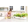 image:imageClick amp Grow Seedless Grow Anything Pods 3 Pack Experimental Plant Pods for Gardening Adventures  Grow your own seeds in Click amp Grow Smart Soil Compatible with all Smart Garden models