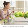 image:imageClick amp Grow Smart Garden 9 Indoor Herb Garden Kit with Grow Light White  Easier than a hydroponic growing system Patented Smart Soil Starter kit basil tomato lettuce Germination guaranteedGray