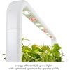 image:imageClick amp Grow Smart Garden 9 Indoor Herb Garden Kit with Grow Light White  Easier than a hydroponic growing system Patented Smart Soil Starter kit basil tomato lettuce Germination guaranteedGray