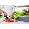 image:imageClick amp Grow Smart Garden 9 Indoor Herb Garden Kit with Grow Light White  Easier than a hydroponic growing system Patented Smart Soil Starter kit basil tomato lettuce Germination guaranteedGray