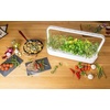 image:imageClick and Grow Chili Pepper Plant Pods 3pack3pack