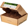 image:imageClick and Grow Curly Parsley Plant Pods for Smart Garden 9Pack