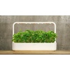 image:imageClick and Grow Curly Parsley Plant Pods for Smart Garden 9Pack