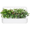 image:imageClick and Grow Smart Chili Pepper Plant Pod Mix 9Pack