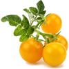 image:imageClick and Grow Smart Fruit and Veggie Plant Pod Mix 9Pack