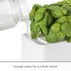 image:imageClick and Grow Smart Garden 3 Grey with Grow Light and 3 Basil and 3 Thyme Pods Bundle