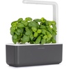 image:imageClick and Grow Smart Garden 3 Grey with Grow Light and 3 Basil and 3 Thyme Pods Bundle