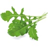 image:imageClick and Grow Smart Garden Arugula Plant Pods 3Pack3pack