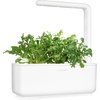 image:imageClick and Grow Smart Garden Arugula Plant Pods 9Pack