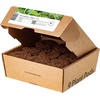 image:imageClick and Grow Smart Garden Asian Cuisine Plant Pod Mix 9Pack