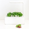 image:imageClick and Grow Smart Garden Basil Plant Pods 9Pack