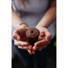 image:imageClick and Grow Smart Garden Basil Plant Pods 9Pack