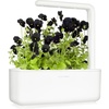 image:imageClick and Grow Smart Garden Black Pansy Plant Pods 3Pack3pack