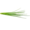 image:imageClick and Grow Smart Garden Chives Plant Pods 3Pack3pack