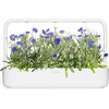 image:imageClick and Grow Smart Garden Cornflower Plant Pods 3Pack3pack