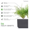 image:imageClick and Grow Smart Garden Dill Plant Pods 3Pack3pack