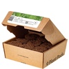 image:imageClick and Grow Smart Garden Dill Plant Pods 3Pack9pack