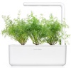 image:imageClick and Grow Smart Garden Dill Plant Pods 3Pack9pack