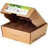image:imageClick and Grow Smart Garden Green Lettuce Plant Pods 9Pack