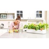 image:imageClick and Grow Smart Garden Mini Tomato Plant Pods 3Pack3pack