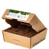 image:imageClick and Grow Smart Garden Mini Tomato Plant Pods 3Pack9pack