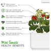 image:imageClick and Grow Smart Garden Mini Tomato Plant Pods 3Pack9pack
