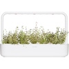 image:imageClick and Grow Smart Garden Thyme Plant Pods 3Pack3pack