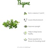image:imageClick and Grow Smart Garden Thyme Plant Pods 3Pack3pack