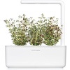 image:imageClick and Grow Smart Garden Thyme Plant Pods 3Pack9pack
