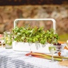 image:imageClick and Grow Smart Garden Wild Strawberry Plant Pods 3Pack9pack