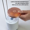 image:imageMini Smart Planter Hydrovase with Petunia Pods by ClickampGrow Grow Light  White USB powered compatible with all Click amp Grow pods Auto timer adjustable height compact desk designWhite