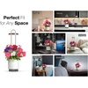 image:imageMini Smart Planter Hydrovase with Petunia Pods by ClickampGrow Grow Light  White USB powered compatible with all Click amp Grow pods Auto timer adjustable height compact desk designWhite