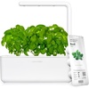image:imageClick amp Grow Indoor Herb Garden Kit with Grow Light  Smart Garden for Home Kitchen Windowsill  Easier Than Hydroponics Growing System  Vegetable Gardening Starter 3 Basil Pods Included Grey  Easier than a hydroponic growing system Patented Smart Soil Includes 3 basil pods Choose from 50 plant varietiesWhite
