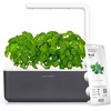 image:imageClick amp Grow Indoor Herb Garden Kit with Grow Light  Smart Garden for Home Kitchen Windowsill  Easier Than Hydroponics Growing System  Vegetable Gardening Starter 3 Basil Pods Included Grey  Easier than a hydroponic growing system Patented Smart Soil Includes 3 basil pods Choose from 50 plant varietiesGray