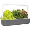 image:imageClick amp Grow Smart Garden 9 Indoor Herb Garden Kit with Grow Light White  Easier than a hydroponic growing system Patented Smart Soil Starter kit basil tomato lettuce Germination guaranteedGray