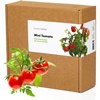 image:imageClick and Grow Smart Garden Mini Tomato Plant Pods 3Pack9pack