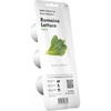 image:imageClick and Grow Smart Garden Romaine Lettuce Plant Pods 3Pack