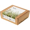image:imageClick and Grow Smart Garden Thyme Plant Pods 3Pack9pack