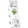 image:imageClick and Grow Smart Garden Wild Strawberry Plant Pods 3Pack3pack