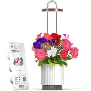 image:imageMini Smart Planter Hydrovase with Petunia Pods by ClickampGrow Grow Light  White USB powered compatible with all Click amp Grow pods Auto timer adjustable height compact desk designWhite