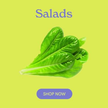 Click & Grow | The Joy of Nature for All – Hassle-Free Smart Indoor Hydroponic Gardens