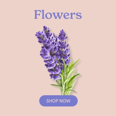 Click & Grow | The Joy of Nature for All – Hassle-Free Smart Indoor Hydroponic Gardens