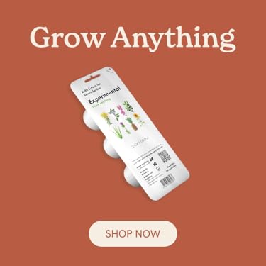 Click & Grow | The Joy of Nature for All – Hassle-Free Smart Indoor Hydroponic Gardens