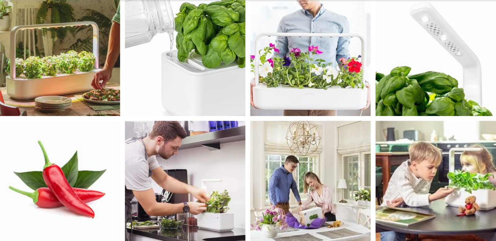 Click & Grow | The Joy of Nature for All – Hassle-Free Smart Indoor Hydroponic Gardens